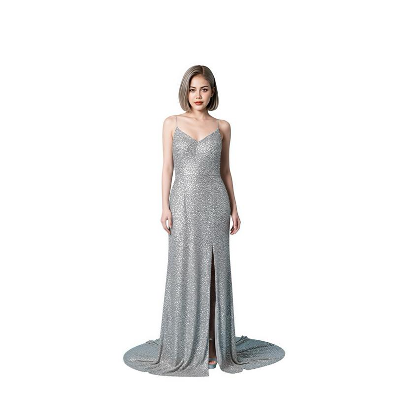 Silver Evening Gown with Set Necklace Earrings
