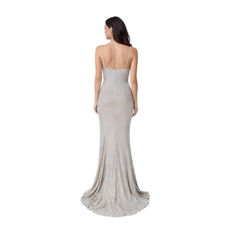 Silver Evening Gown with Set Necklace Earrings